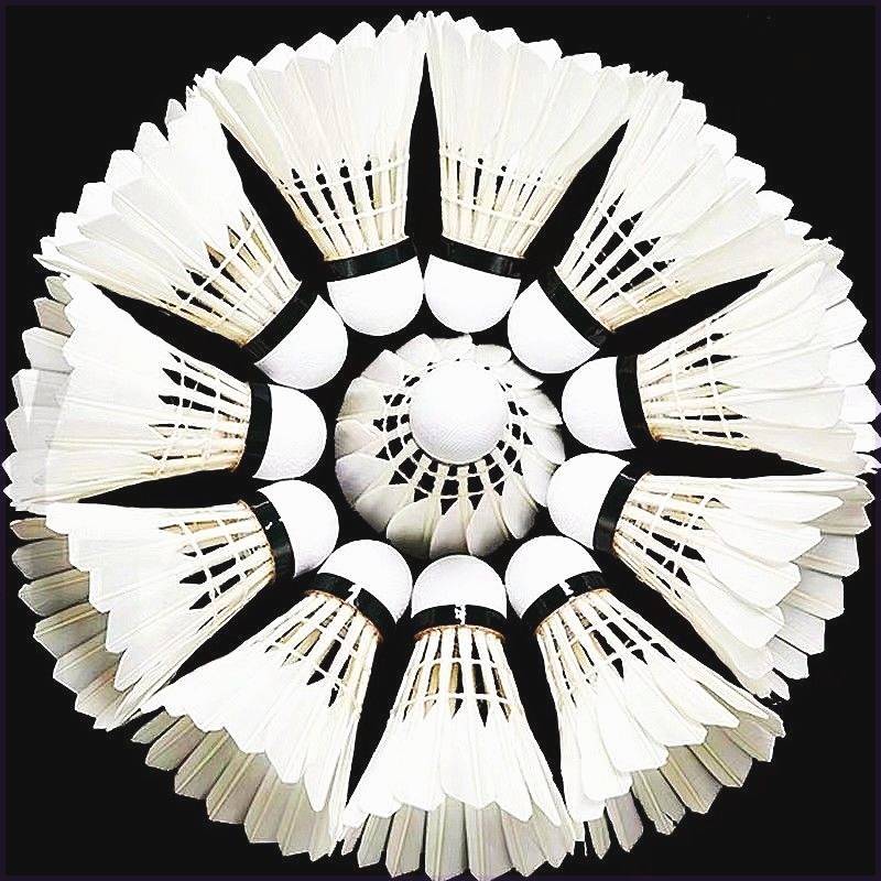 White feathers